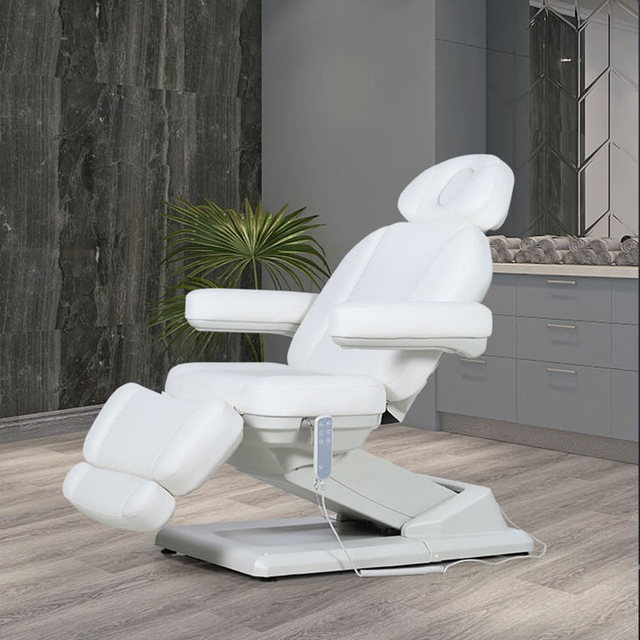 Electric Height Adjustable Massage Table Facial Chair Beauty Bed with Split Legs