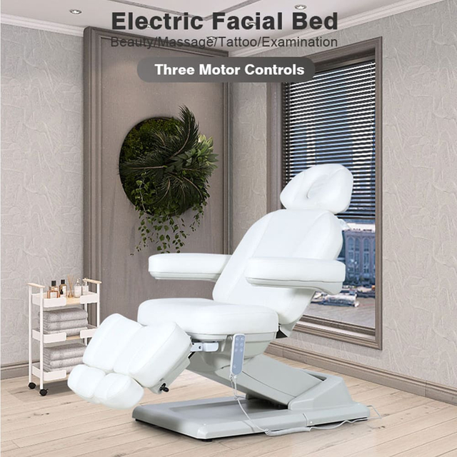 Professional Electric Pedicure Bed White Tattoo Chair for Client