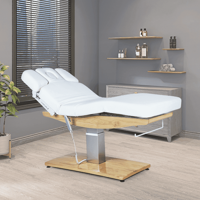 Electric Hydraulic Lift Spa Facial Bed Treatment Table with Armrest