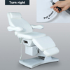 Electric Massage Table Eyelash Extension Beauty Facial Bed