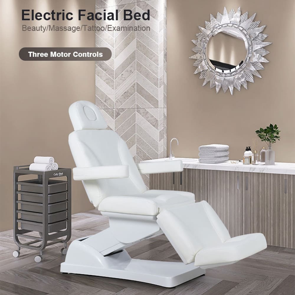 Electric Dermatology Chair Beauty Bed Facial Table - Kangmei
