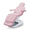 Luxury Electric Massage Table Beauty Facial Bed