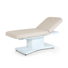 Blue Electric Massage Table Couch Esthetician Spa Facial Bed
