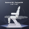 Electric Lift Cosmetic Beauty Salon Facial Chair Massage Table