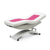 Electric Massage Treatment Table Esthetician Beauty Salon Facial Bed