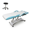 Beauty Spa Salon Cosmetic Electric Treatment Massage Table Lift Adjustable Eyelash Podiatry Tattoo Facial Bed